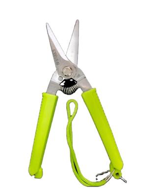 China High quality and hot sale factory anti-skid handle tree shears scissors, apple tree shears, gardening tree shear hydroponic pruner for sale