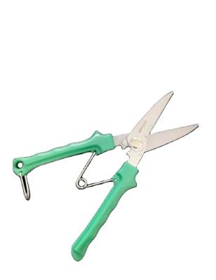 China Anti-skid Handle High Level Gardening Tools Tree Cutter Shears, Telescopic Garden Shear Tree Branch, Fruit Tree Grafting Shears for sale