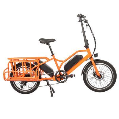 China Family E-cargo Electric Bike with 20