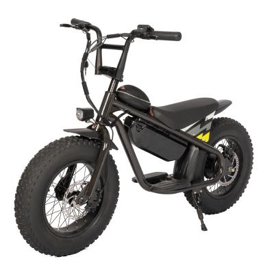 China 16 polegadas Fat Tire Electric Kids Bike Off-road Customized Dirt Bike com 31-60 km de alcance à venda