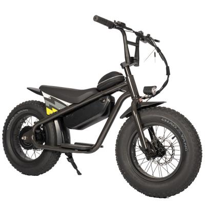 China 36V350W Bicicleta eléctrica de tierra para niños con batería de litio personalizable y sistema de frenado en venta