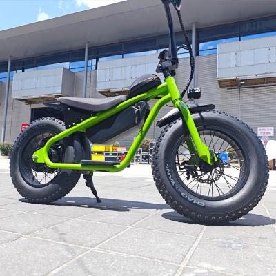 China 48v de alta potencia 13AH batería de litio bici eléctrica de tierra trasera motor de centro de carga todo terreno para niños en venta