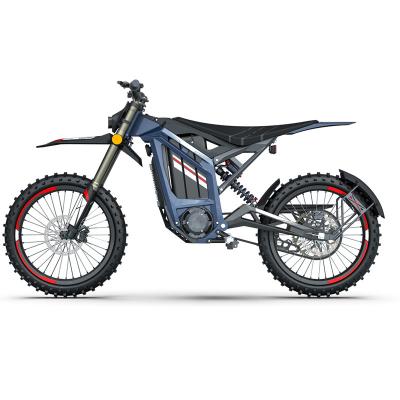 China 3000W Mid Motor Electric Dirt Bike Off Road Fast Motorcycle for Racing and Motocross for sale