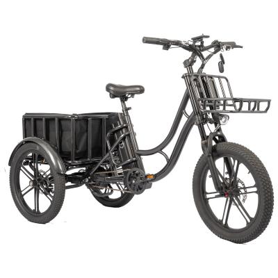 China 28km/h Speed Rear Hub Motor Fat Tire Family Cargo Bike for Food Delivery Tricycle E-bike for sale