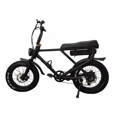 Cina Fat Tire Electric Bike Snow Beach Fast Speed Customized Electric Bike 2 posti E Bike in vendita