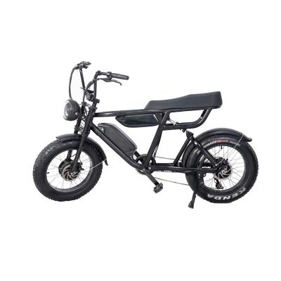 China Dual Battery Dual Motor Electric Mountain Bike 7 Speed E Bike 20*4