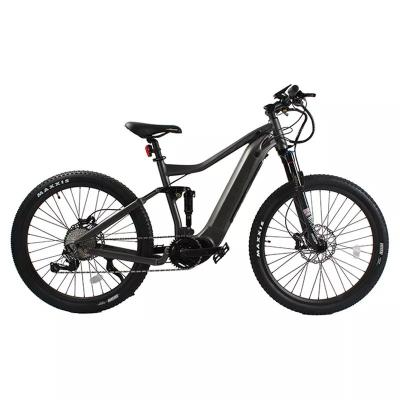 China 48V 750W Central Motor Electric Bike for Adults 2024 Customized Mountain Bike for sale