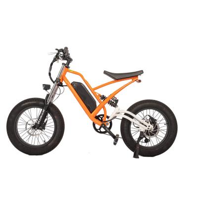 China Hinterhub Motor 750w High Speed Dirt Bike Off-Road Elektrische Fettreifen Bike Elektrische Cruiser Bikes zu verkaufen