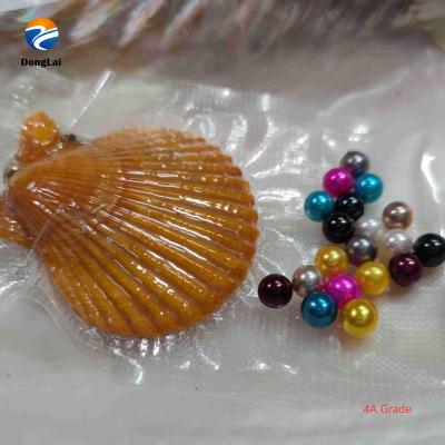 China MIXED COLORS Vacuum Packed Freshwater Akoya Pearl Oysters Wholesale 6-8mm Loose Pearl For Pearl Party for sale