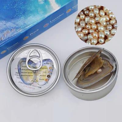 China Wholesale Freshwater Pearl Wish Oyster Pearl Necklace Set Boxed Oyster With Its Pending Necklace And Kit Set for sale