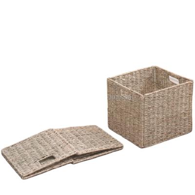 China Contemporary Hot Sale Natural Vegetable Plankton Basket Hand - Woven Vegetable Plankton Planter Storage Basket for sale