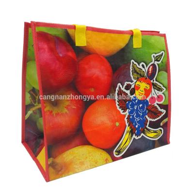 China Handled PP Woven Colorful Shopping Bag for Supermarket for sale