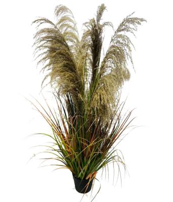 China Environmentally Friendly Plants Autumn Onion Reed Grass 120/150/180cm Indoor Decorative Artificial Bonsai Plants for sale