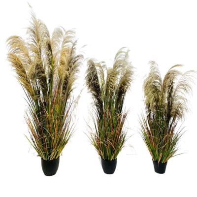 China 2022 Realistic Looking Reed Grass Bonsai Artificial Plants Popular Decorative Potted For Home Decoration for sale