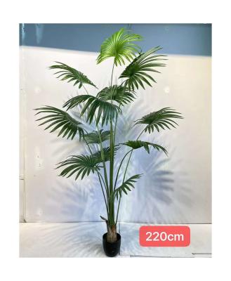 China Realistic Looking Home Decoration Simulation Plant Ornaments California Palmetto Plant for sale