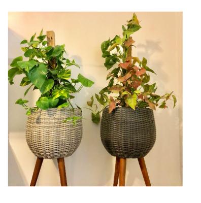 China Europe rattan flower plant pot and wooden stand for sale