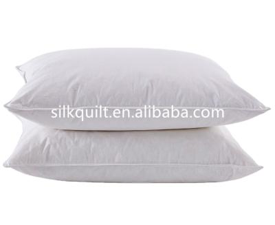 China China 100% anti-static pure silk pillow for sale