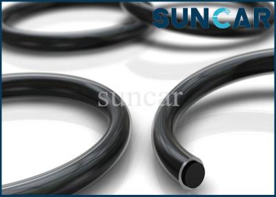 China Ring CS2 O-Ring Seal Kit For Sealing for sale