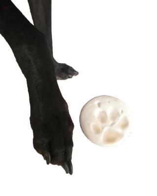 China DIY Handmade For Puppy Footprint ODM Natural Flexible Beauty Super Light Clay For Puppy Footprint for sale