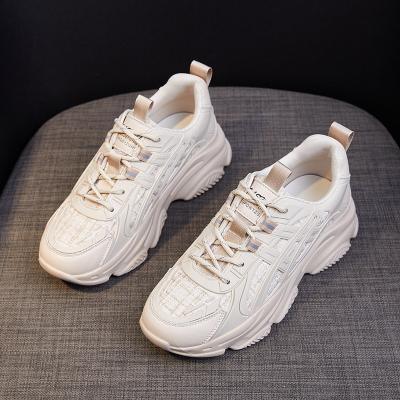 China Fashion Trend New Arrival Chunky Mesh Ladies Woman Casual Shoes Ladies Upper Women Sneakers Fashion Breathable Shoes for sale