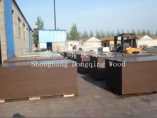 Verified China supplier - Shouguang Dongqing Wood Co., Ltd.