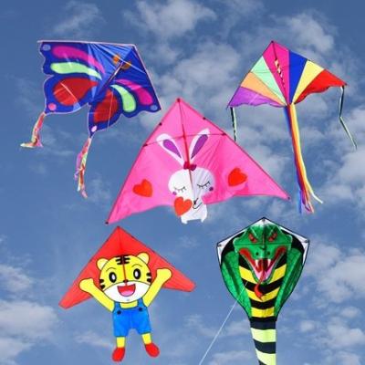 China Gift china kite direct manufacture for sale