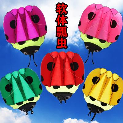 China Gift kitesurf kite with bar for sale