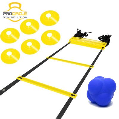 China Football Traning Procircle Sports Cones And Adjustable Training Reaction Ball Speed ​​Agility Ladder for sale