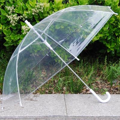 China Contemporary Custom Print PVC Transparent Umbrella for Kid and Adult for sale