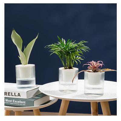 China Minimalist Self Absorbing Plastic Flowerpot Flowerpot for Plant Self Absorbing Gardening Flowerpot for Plants in Home and Garden Nursery for sale