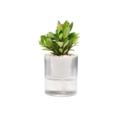 China Minimalist Mini Garden Flower Pot Unbreakable Plastic Flower Nursery Pots For Succulent Plants for sale