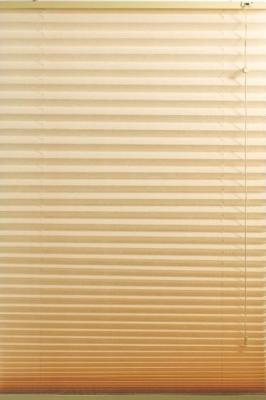 China Contemporary Windows Shades Blinds Beige with Pleated Venetian style for sale