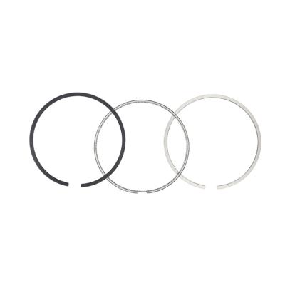 China Auto engine parts high quality engine OE NO S1304-E0281 W04ET/W04D piston piston rings for NINO for sale