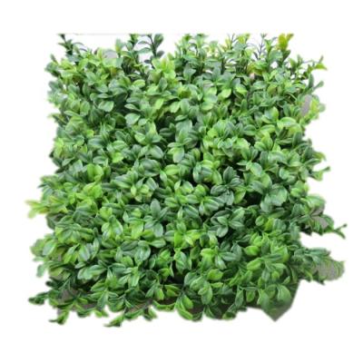 China Rustic 48 Pieces Prepare Products Products PE Seeds Leaves 100 Tops Mat Panels Artificial Fence Hedge 25*25 Cm Size for sale