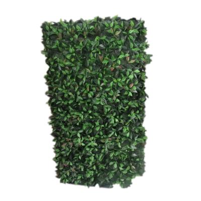 China LSWS16012001 Custom Minimalist Garden Decorative Boxwood Fence Artificial Landscaping Hedge With Inner Structure for sale