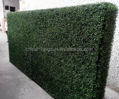 China High Quality Garden Decoration LS15112217 CHINA Manufacturer Boxwood Fence For Outdoor Hedge Garden Decoration for sale