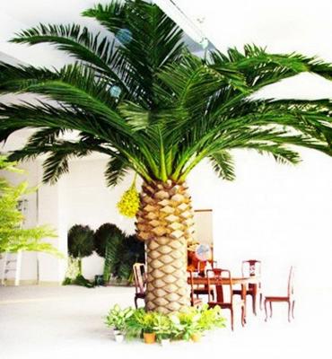 China Top Manufacturer LS16070614 Wholesale Simulated Landscape Artificial Coconut Palm Trees for sale