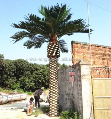 China eco-friendly LSD-170426079 all kinds of fake date artificial palm trees on hot sale in Shenzhen for sale