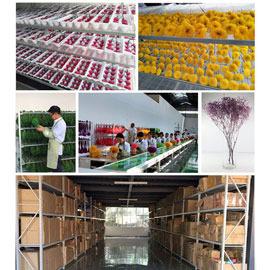 Verified China supplier - Yunnan Fancy Science & Technology Co., Ltd.