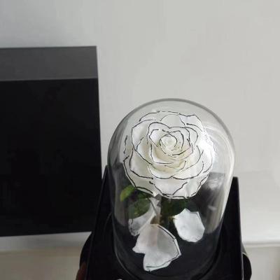 China Lasting Glass Rose In Gift Box Wholesale Eternal Eternal Preserved Rose 12*20cm Gifts Forever And Celebration Long Stem Red for sale