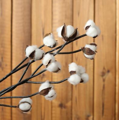 China High Quality Valentine's Day Gift Yunnna Rose Cotton Flower Fancy Decorative Dry Pendant For Wholesale for sale