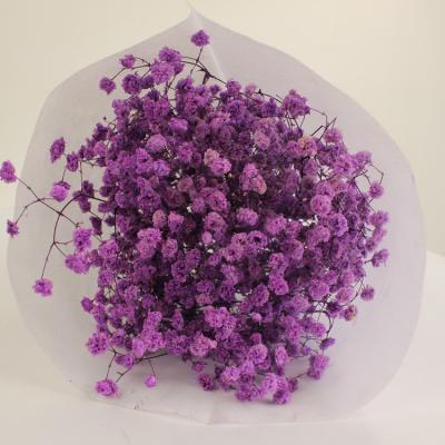 China Green Preserved Baby's Breath Gypsophila Environmental Protection Flower For Party Decoration for sale