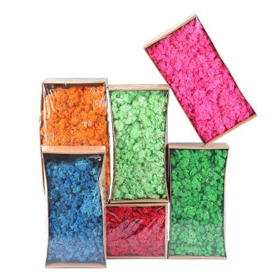 China Gifts/Decorations Occasion Wholesale Indoor Natural Green Decorative Lichen DIY Flower Panels Used Material Moss Wall Preserved Moss for sale