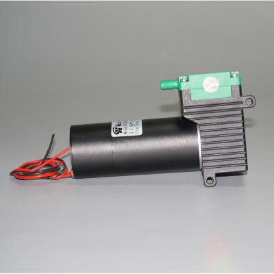 China Automotive Industry DC Vacuum Pump For Medical And Cosmetic Use 10L/ Min Brushless Motor for sale