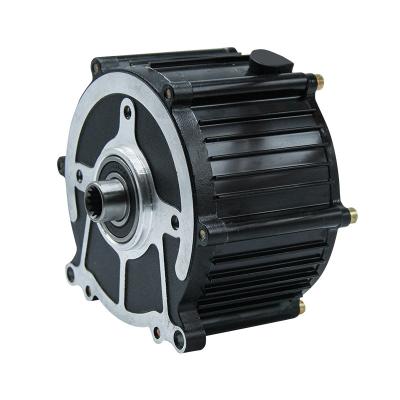 China IP54 Hot Selling DC Motor Ev Conversion Kit Factory E Rickshaw Motor 1000w Waterpro for sale