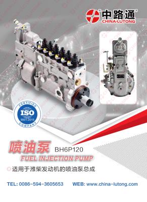 China China Fuel Injection Pump BHM6P120YAY170 for Weichai for WD615.61AG26 Sinotruck engine fuel injection pump for sale