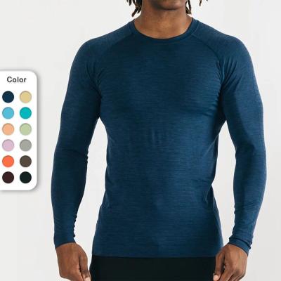 China Anti-Wrinkle Quick Dry Gym High Elastic Athletic T Shirts Slim Long Sleeve Muscle Sports Breathable Men Training T Shirt for sale