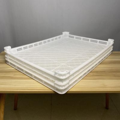 China Agricultural and sideline foods required mesh plastic vegetable and fruit drying tray en venta