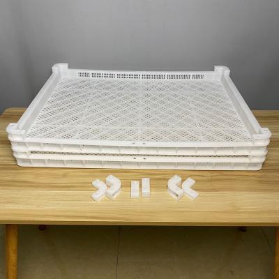 China New Type good price hdpe stackable plastic drying tray for dehydration fruit / mushroom / vegetable / drugs / sea cucumber for sale