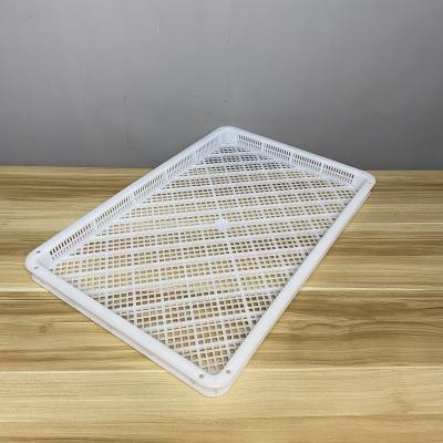 China Newly developed Mesh design stackable Gummy Chocolates plastic drying tray for Confectionery drying for sale